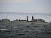 Seal watching at Kaikoura